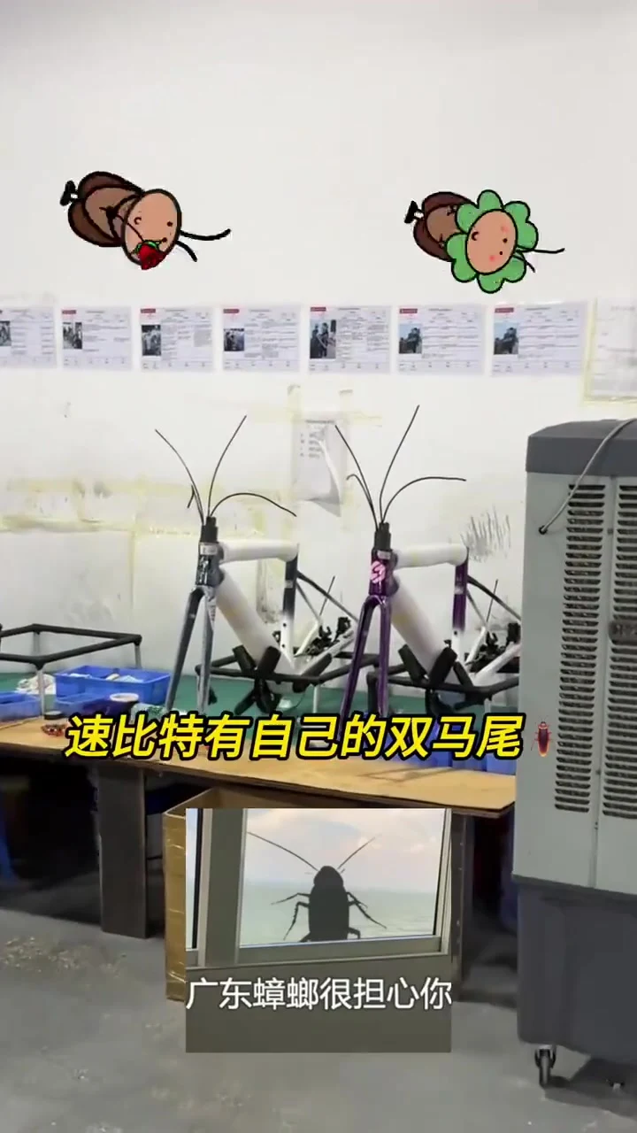 纯情速比特火辣辣！ · 视频画面